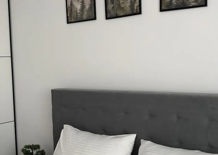 Bright & Spacious Coresi View & Free Parking Apartment *